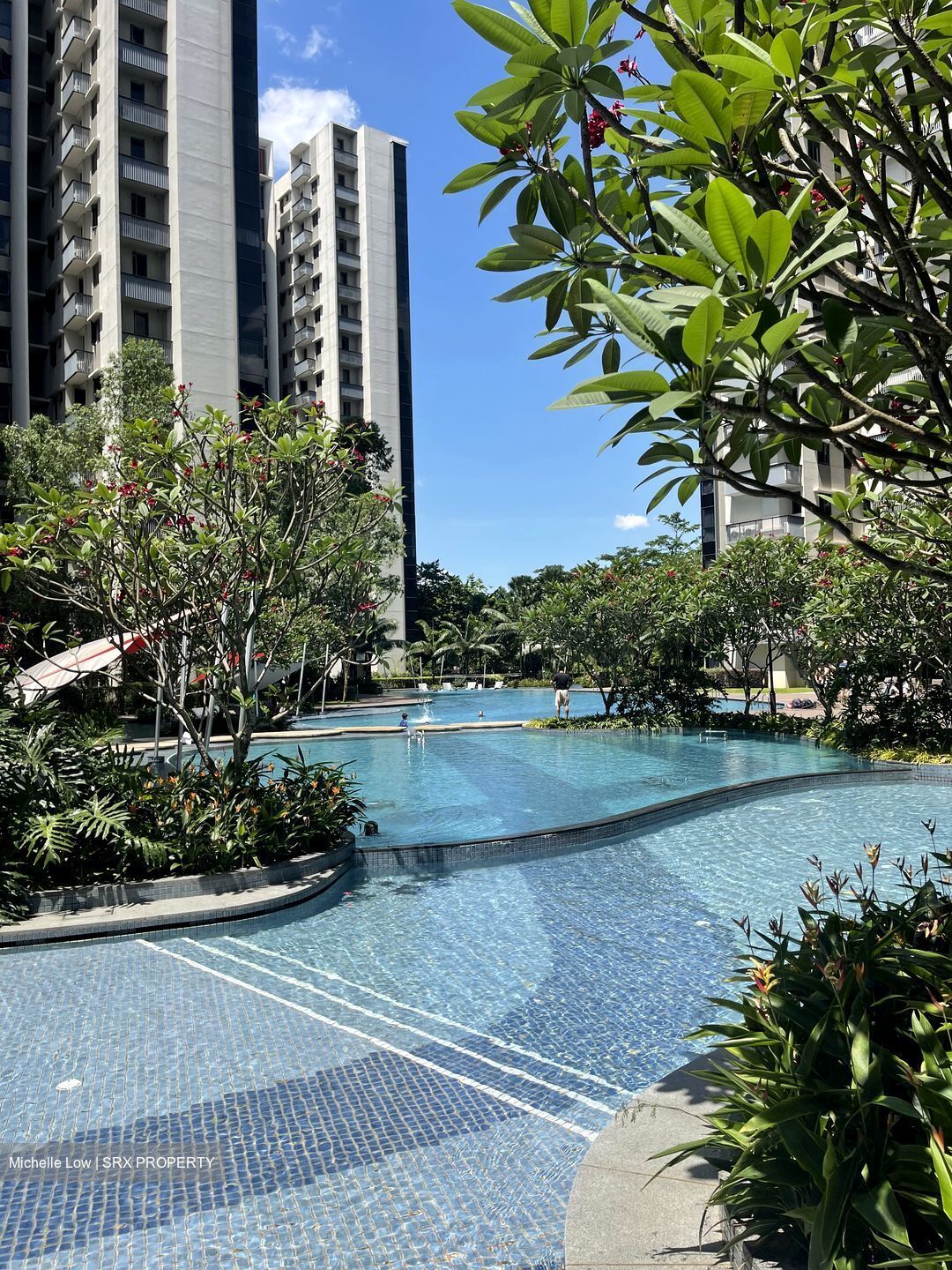 Lakeville (D22), Condominium #533624751